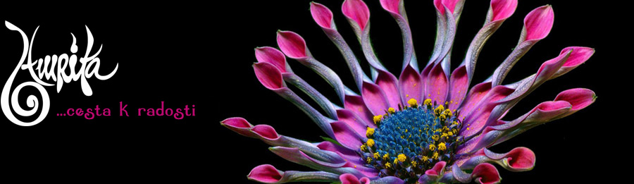 Amrita.cz - cesta k radosti